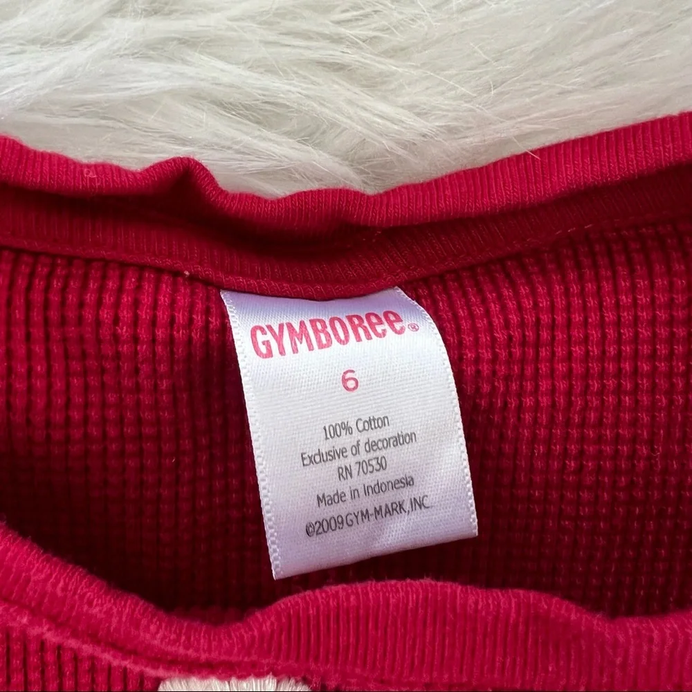 Gymboree Shirt & Skirt Size 5